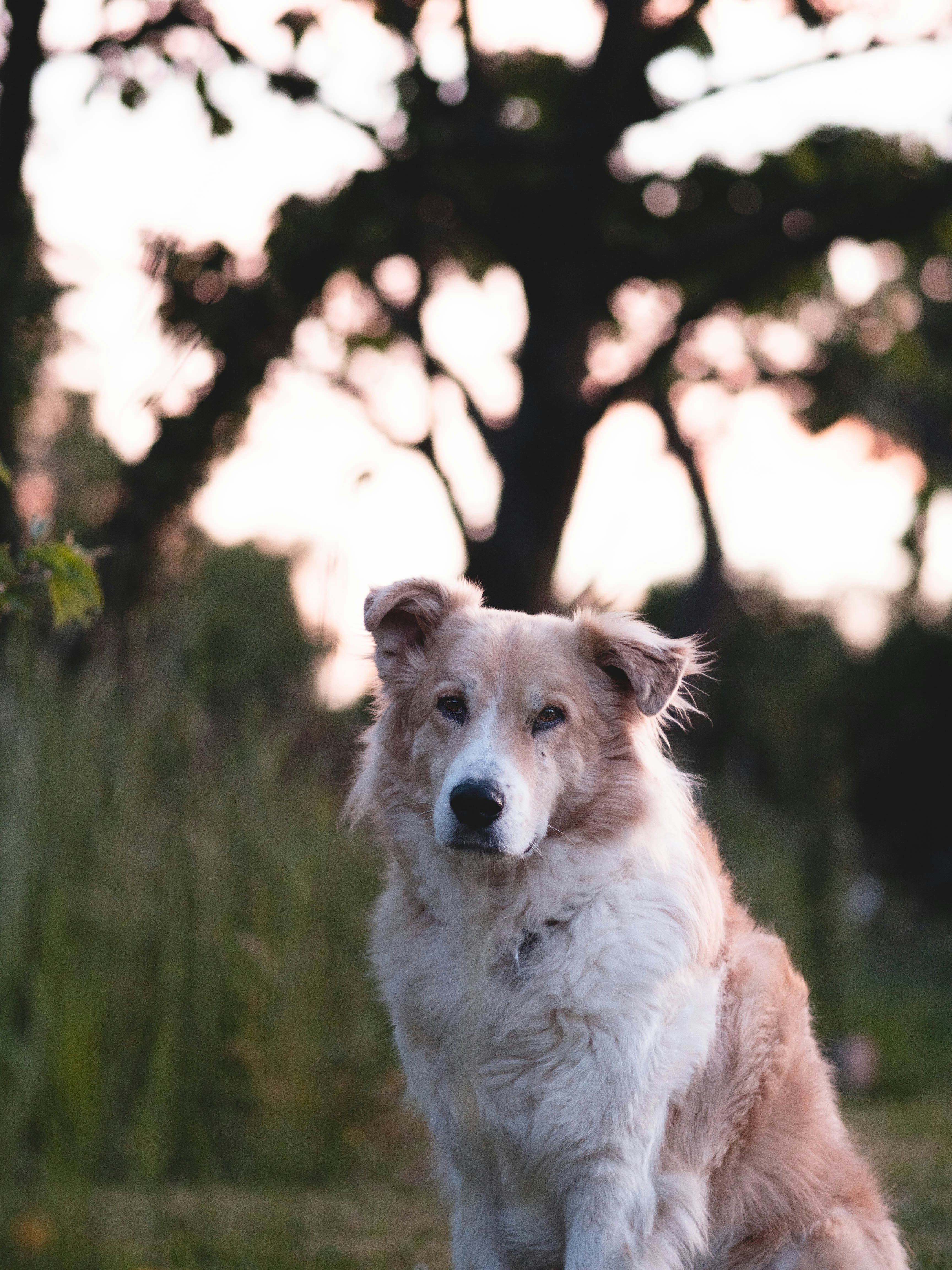 Photo by eileen_kummer