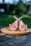 Close-up of a perfectly cooked lamb rib with a rustic wooden background.
