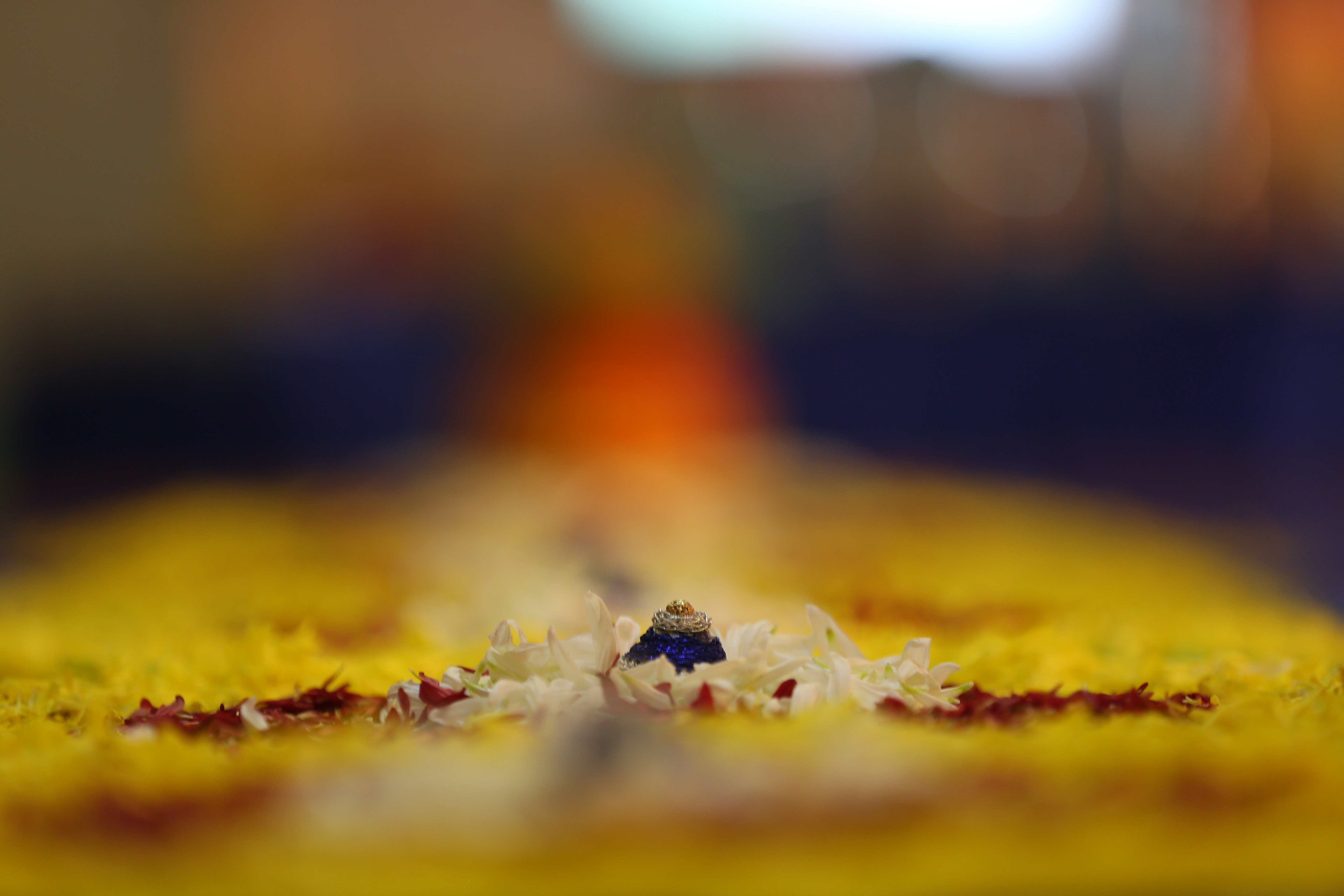 a blurry photo of a yellow flower with a blurry background