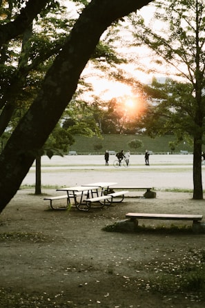 A twilight scene of neighbors chatting and sharing food at a park picnic event