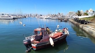 A small motorboat is docked in a calm marina with clear blue water. Several yachts are lined up across the water, with a cityscape of mid-rise buildings in the background. The sky is clear and sunny, and a few palm trees and green spaces are visible by the waterfront.
