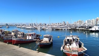 a group of boats that are sitting in the water