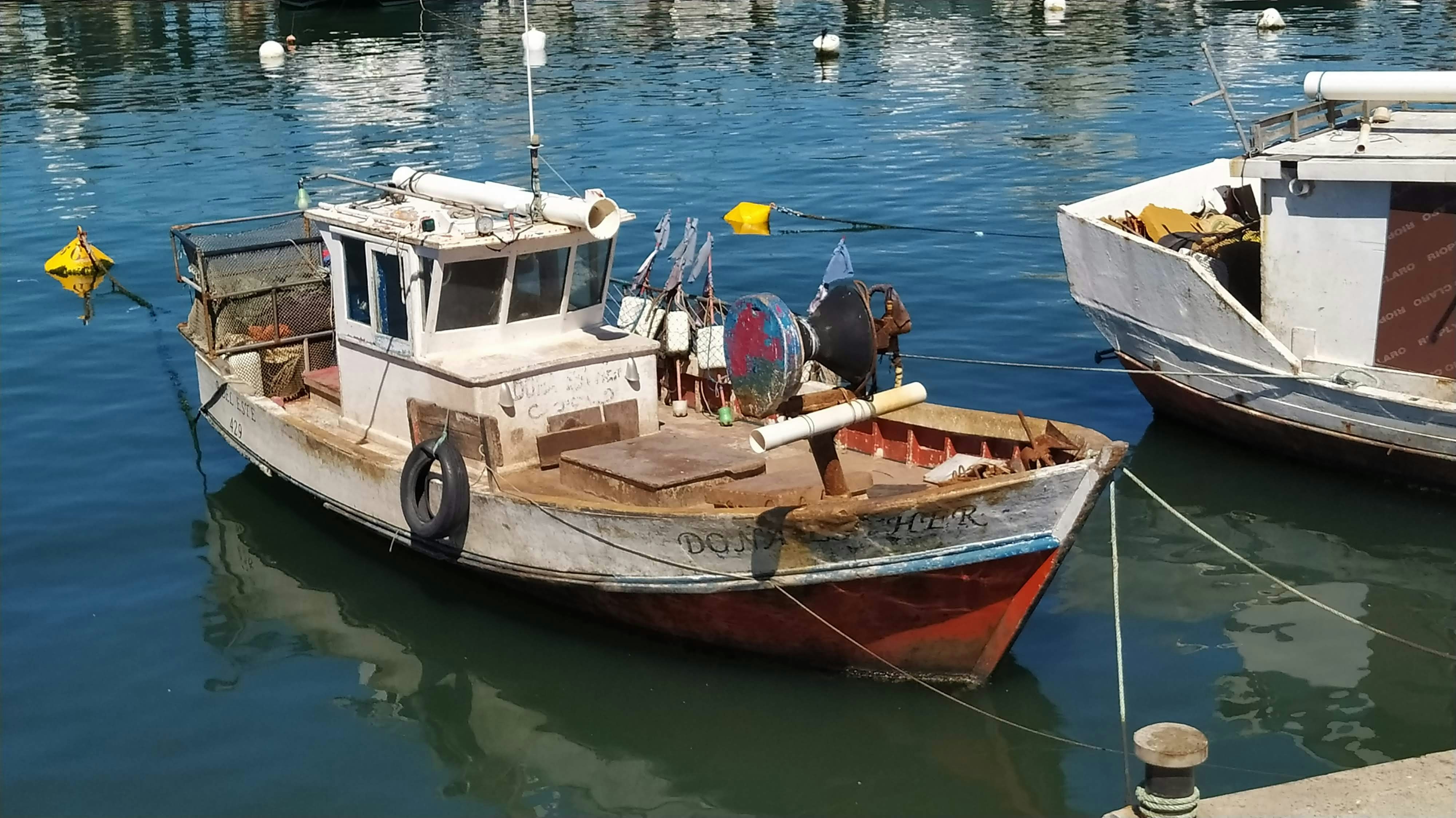 Photo by hectoroliverarte