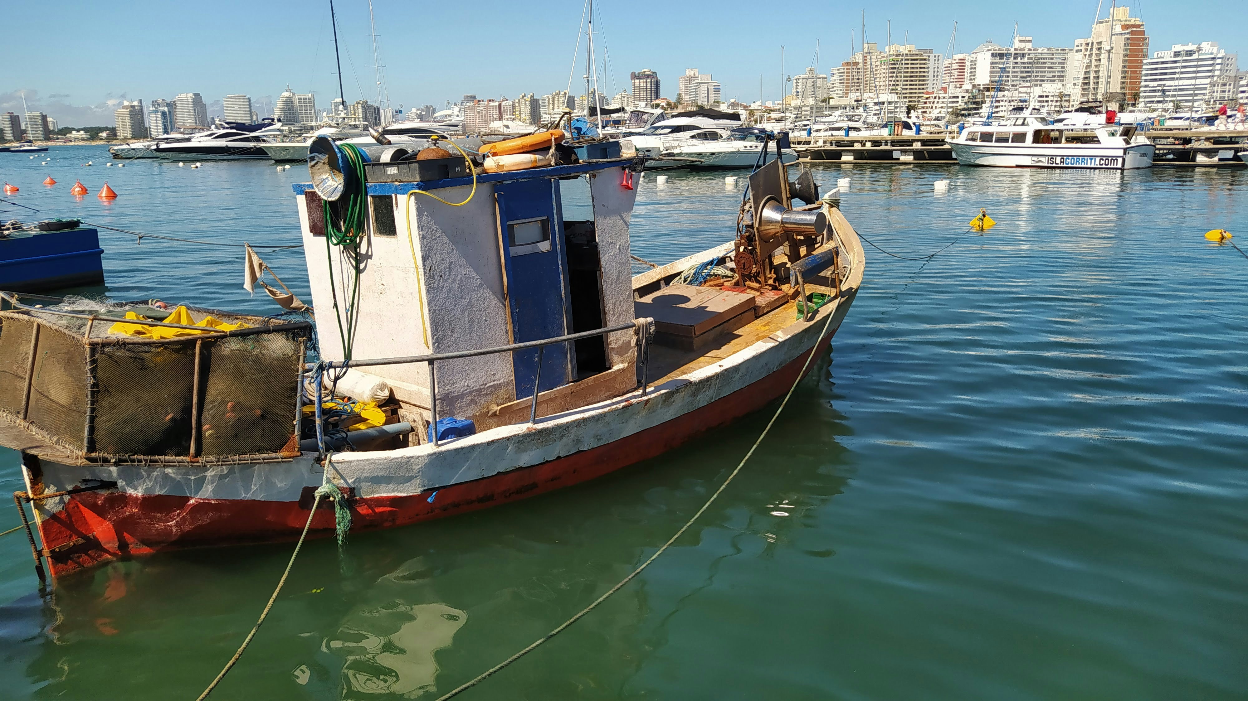 Photo by hectoroliverarte