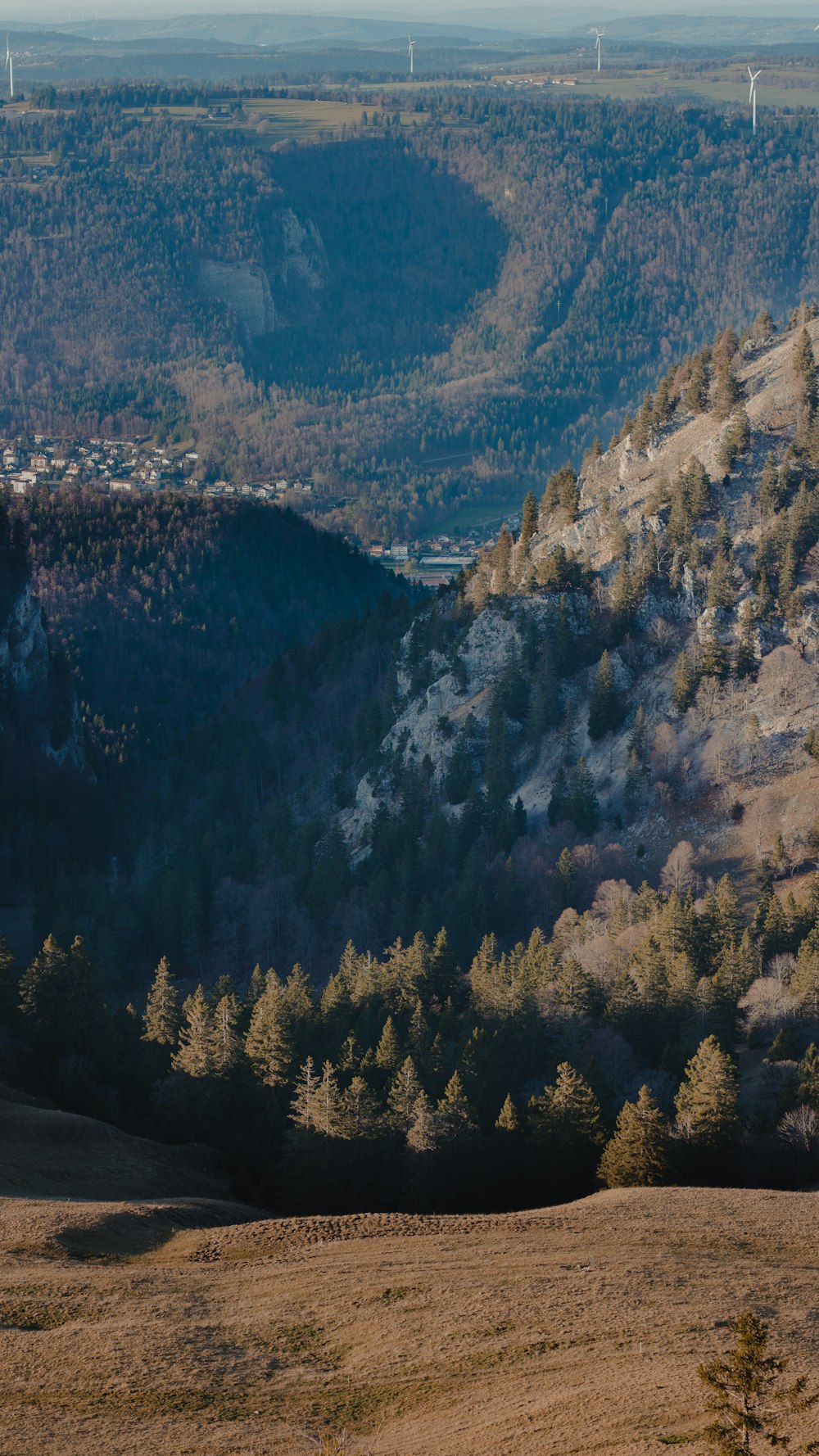 a view of a valley with trees and hills in the background