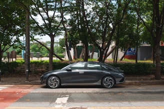 A modern sedan parked in a scenic area.