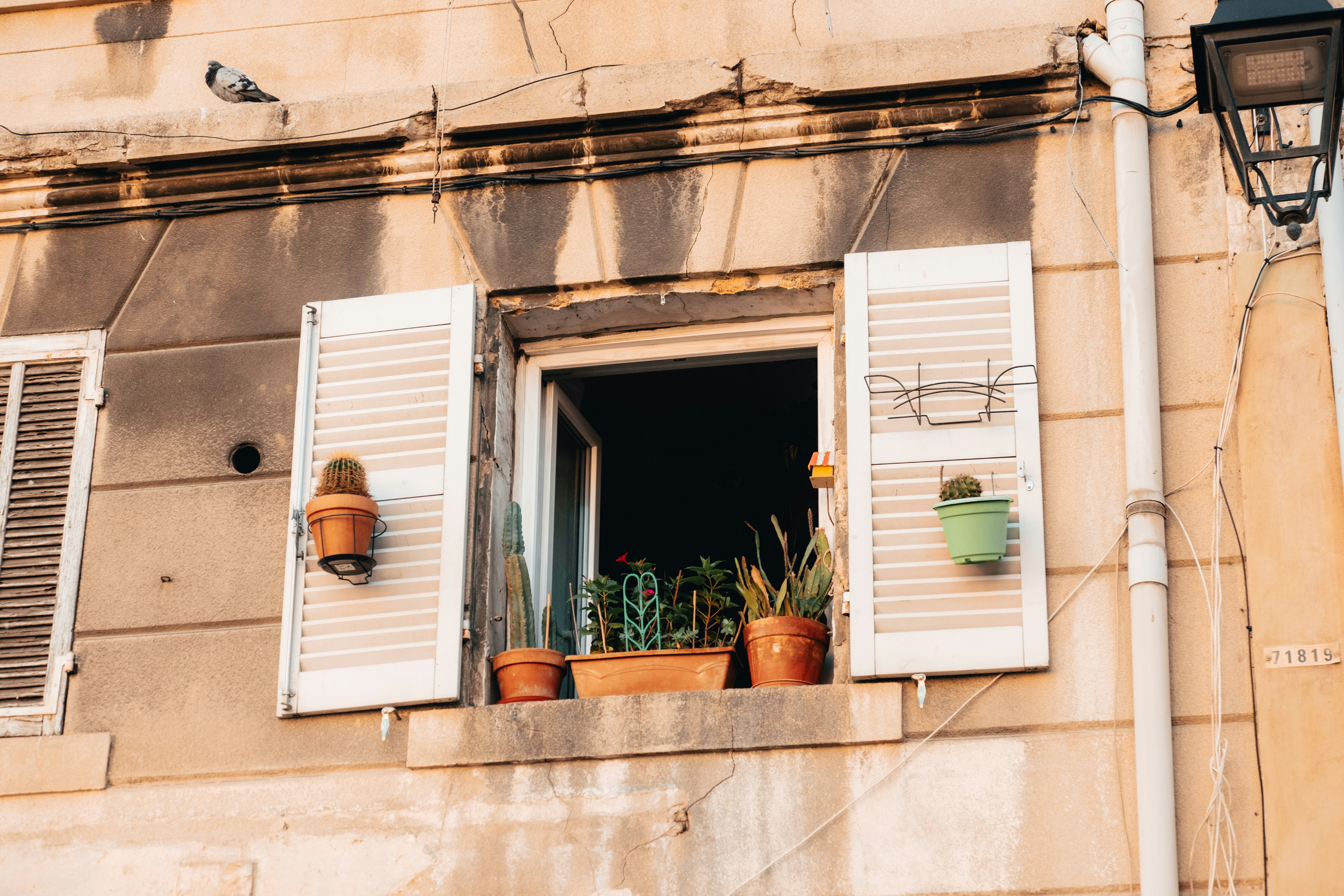 Photo by k_sariwating