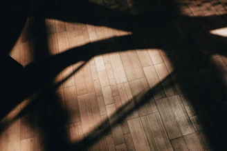 Golden hour light casting long shadows on a rustic wooden floor