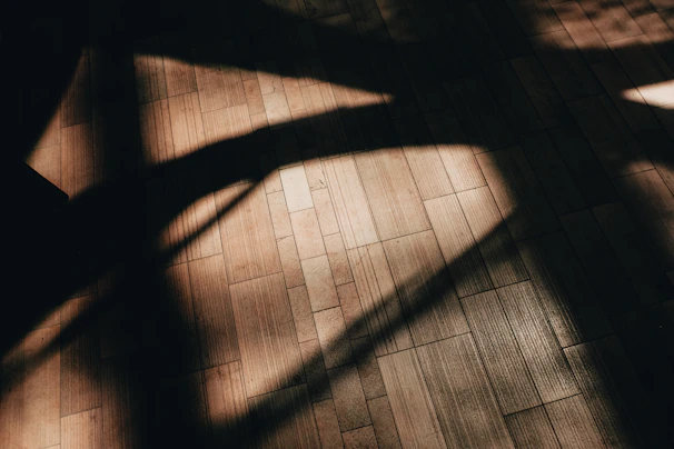 Golden hour light casting long shadows on a rustic wooden floor