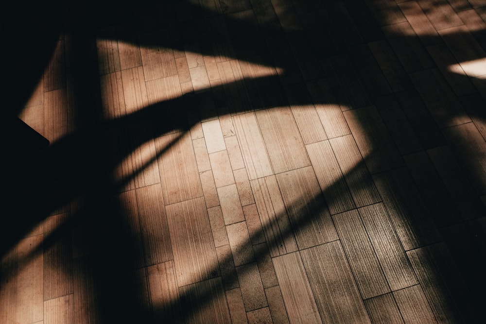 a shadow of a person standing on a wooden floor
