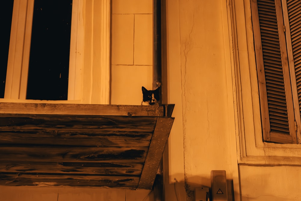 a black cat sitting on the ledge of a window