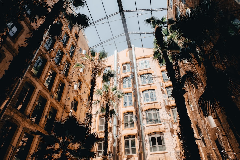 a building with a glass roof and palm trees