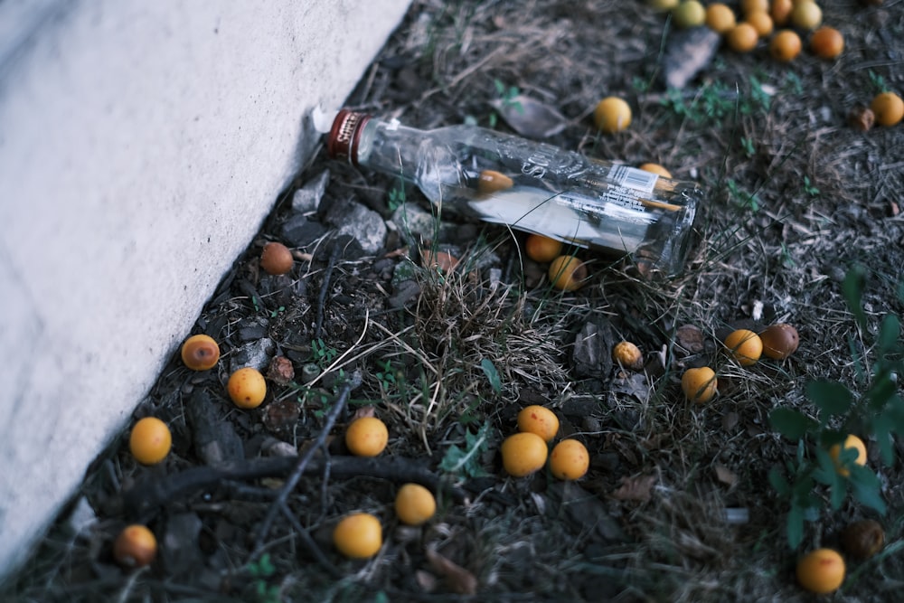 a bunch of oranges that are on the ground