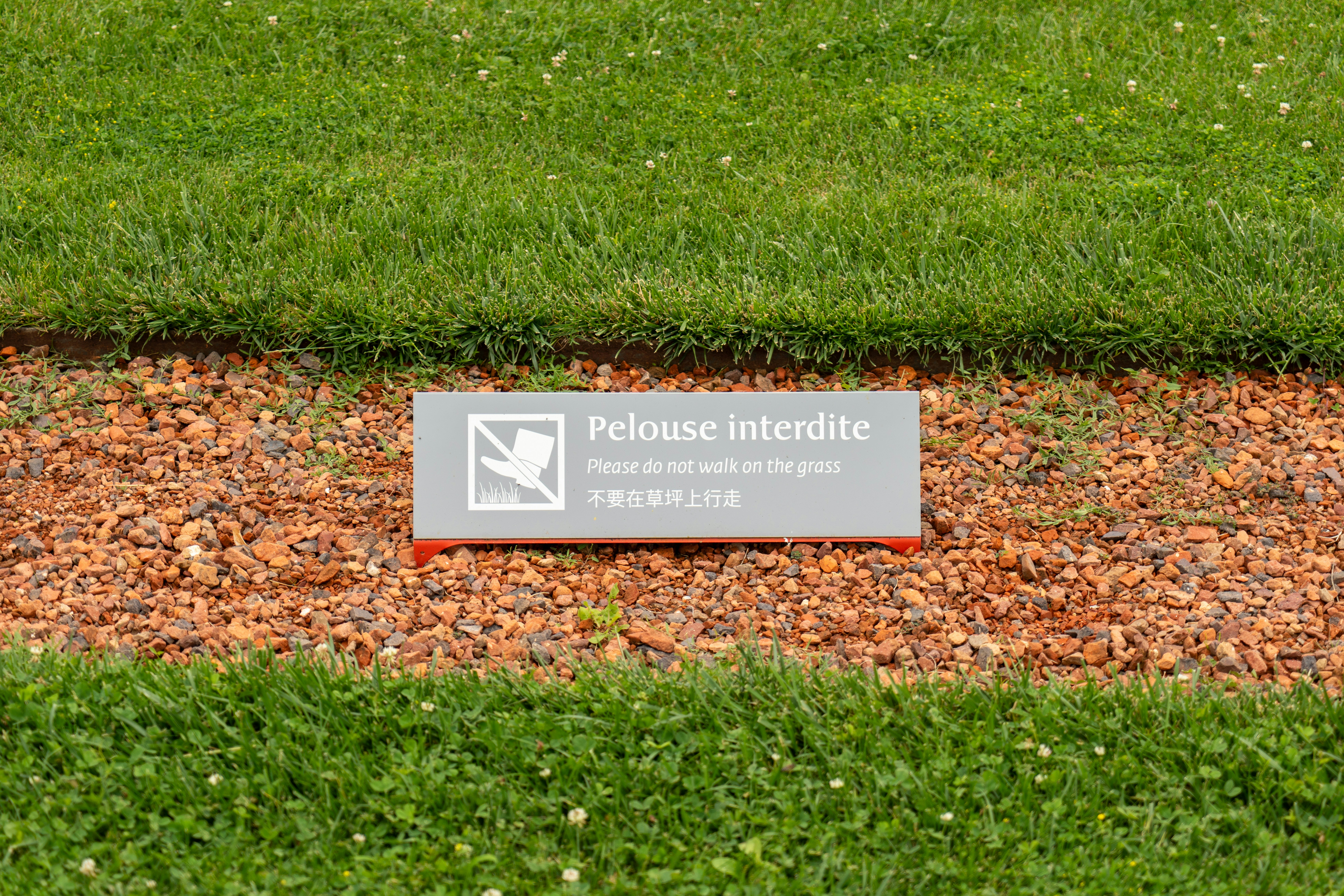 Trivia nights in Fontainebleau, France