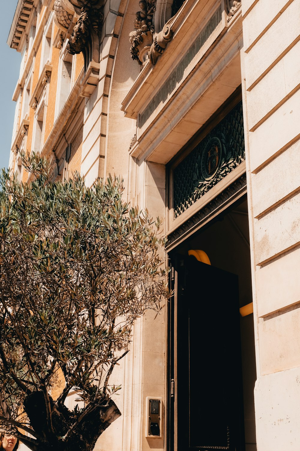 a tree is in front of a building