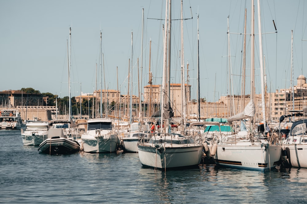 a group of sailboats docked in a harbor