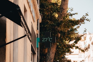 A green LED display attached to the side of a building shows the temperature reading of 27°C. The building has a light-colored stone facade with several windows visible. There is a large tree with lush green leaves next to the building, providing shade. In the background, there are other buildings and a clear, sunny sky.