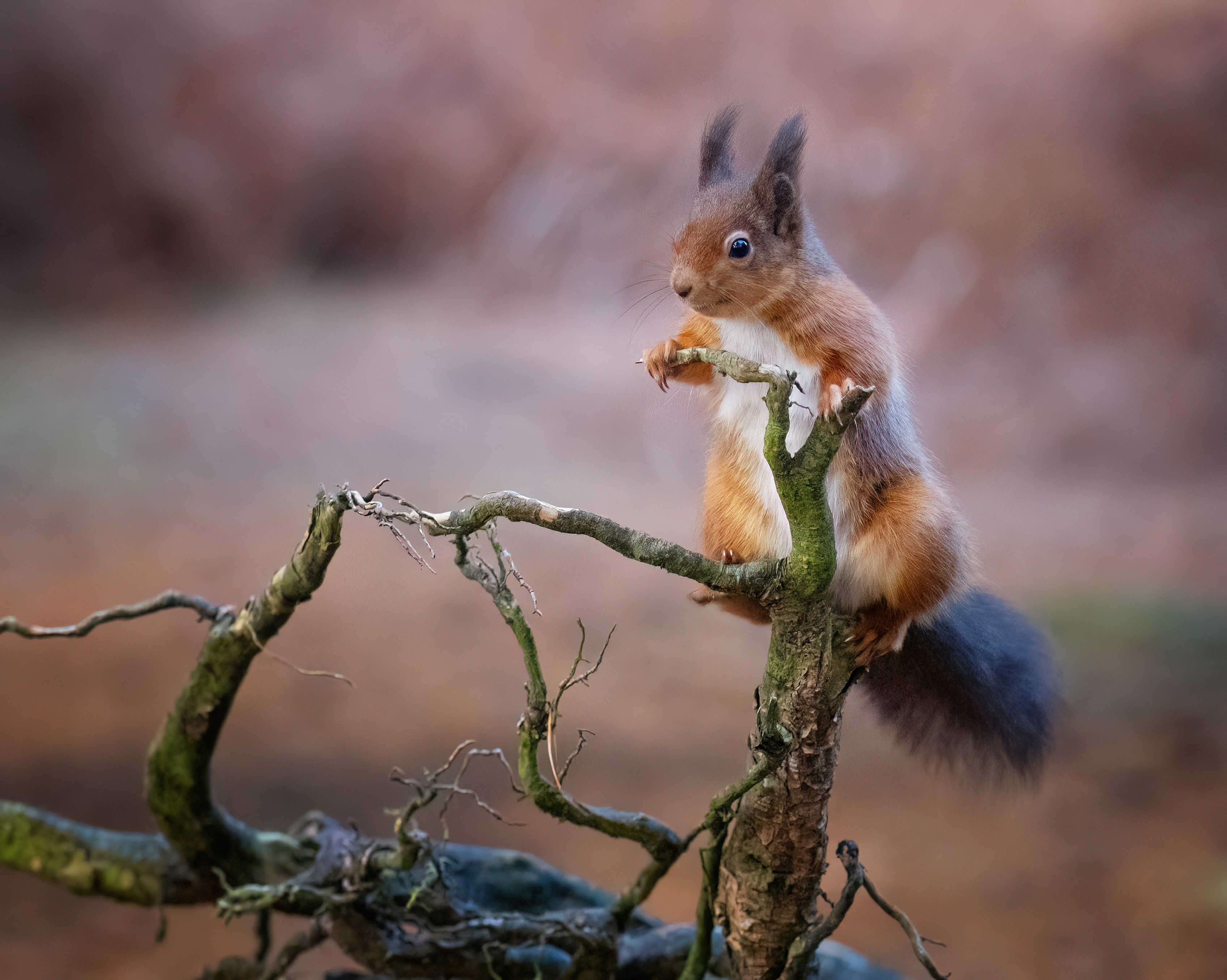 Photo by philrobson100