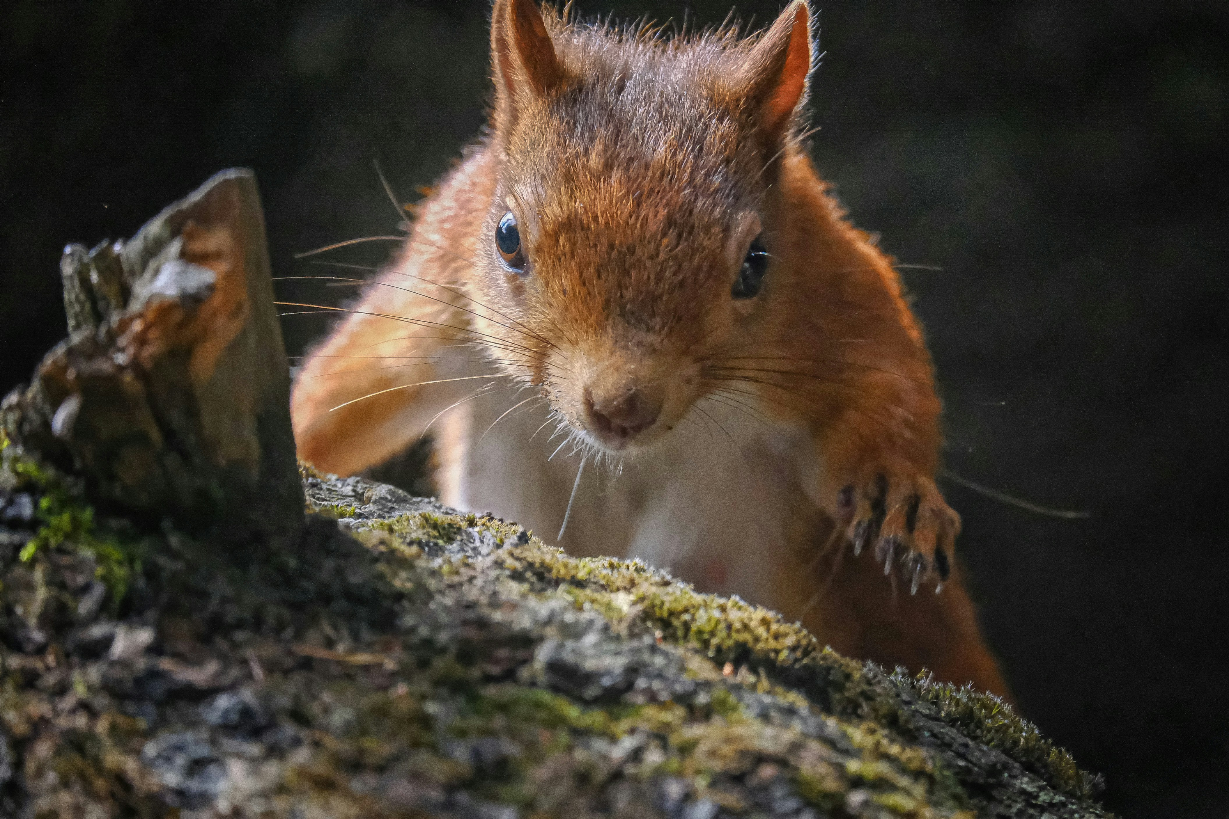 Photo by philrobson100