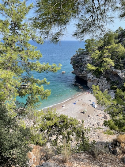A sunlit hidden beach with turquoise water and a small rustic café nestled among palm trees.