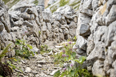Pathway winding through the tranquil hamlet, framed by stone walls and wildflowers.