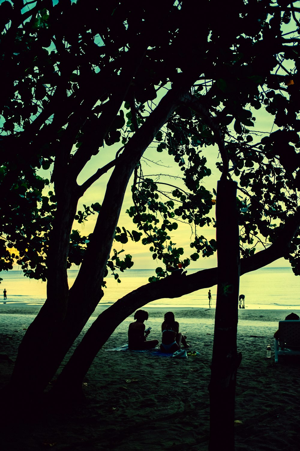 Eine Gruppe von Leuten, die unter einem Baum an einem Strand sitzen