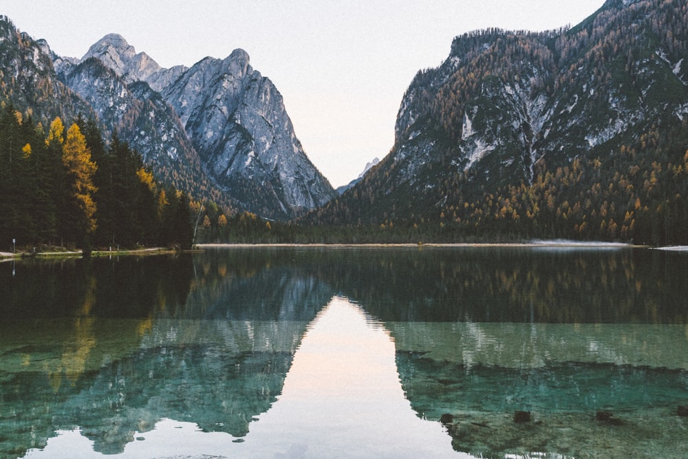 a body of water surrounded by mountains and trees