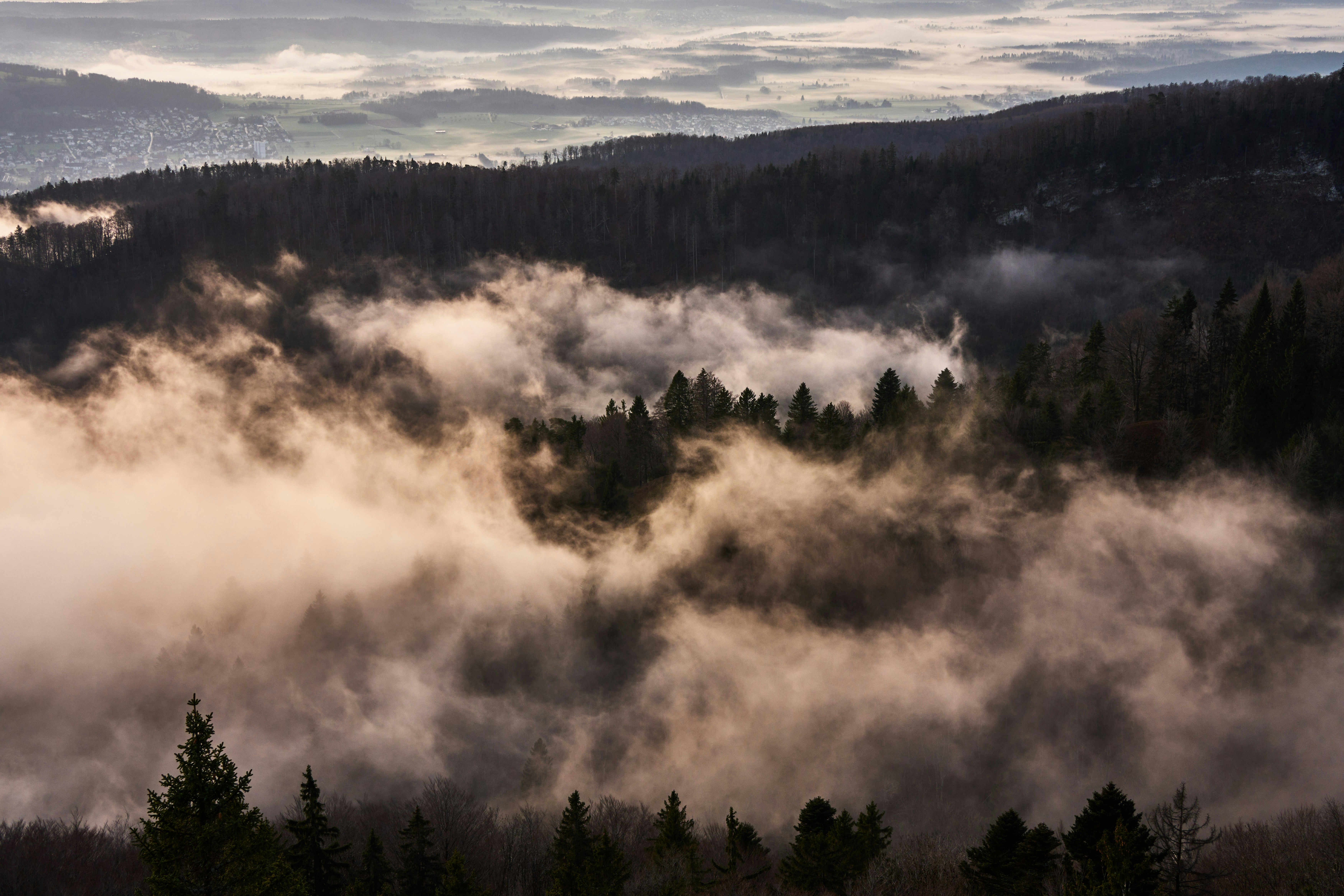 Photo by wolfgang_hasselmann