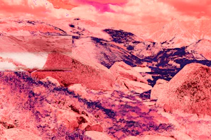 A surreal landscape where rocks appear to morph into living creatures under a twilight sky