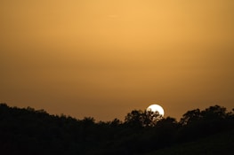 A peaceful outdoor scene at sunset, evoking calm and new beginnings.