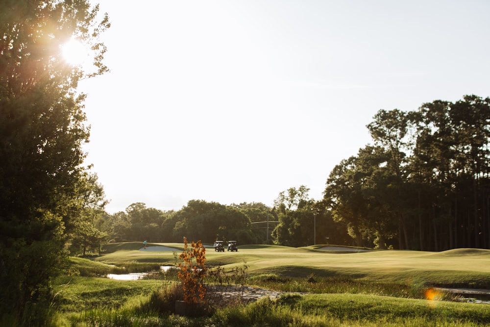 the sun shines on a golf course surrounded by trees