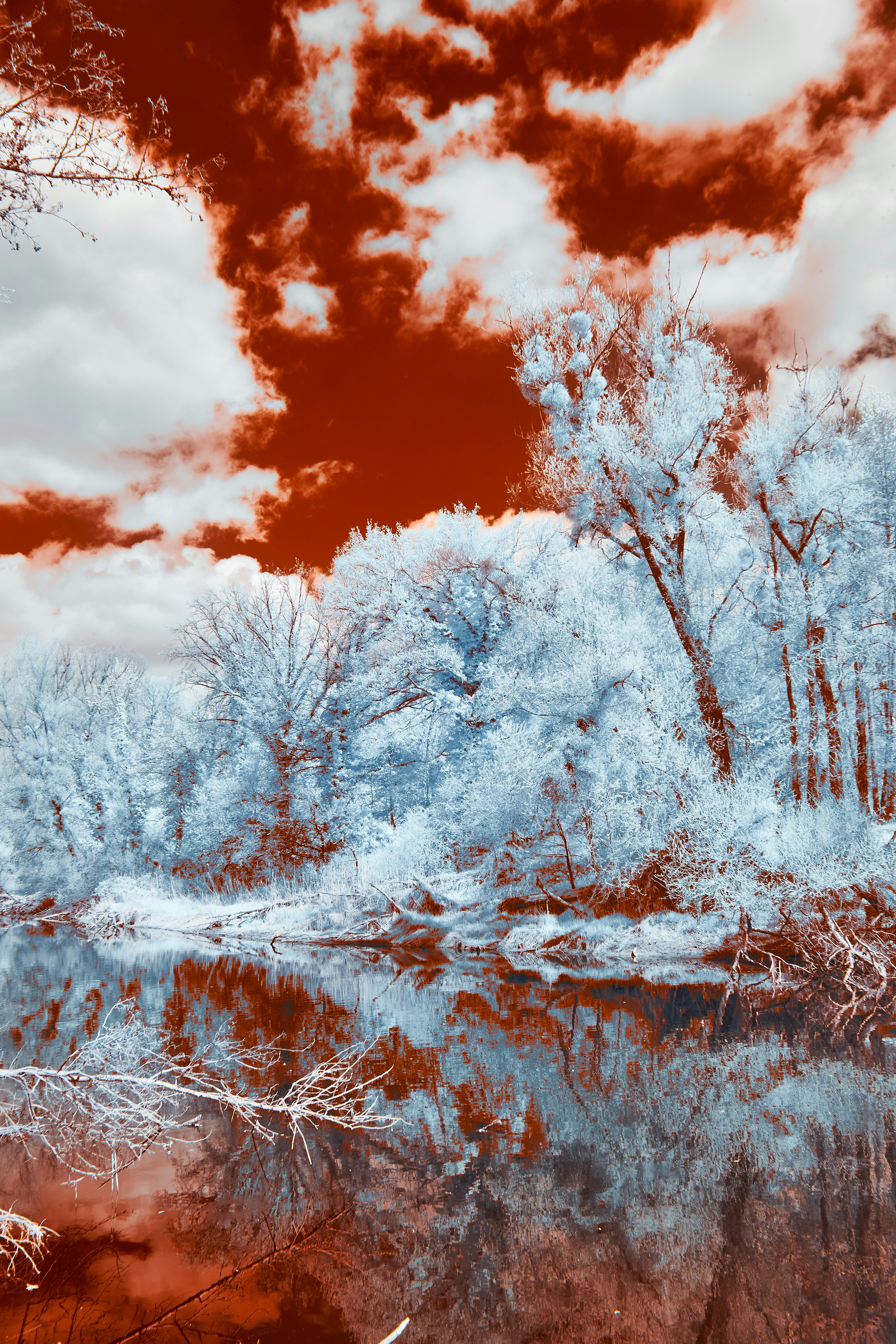 Photo by wolfgang_hasselmann