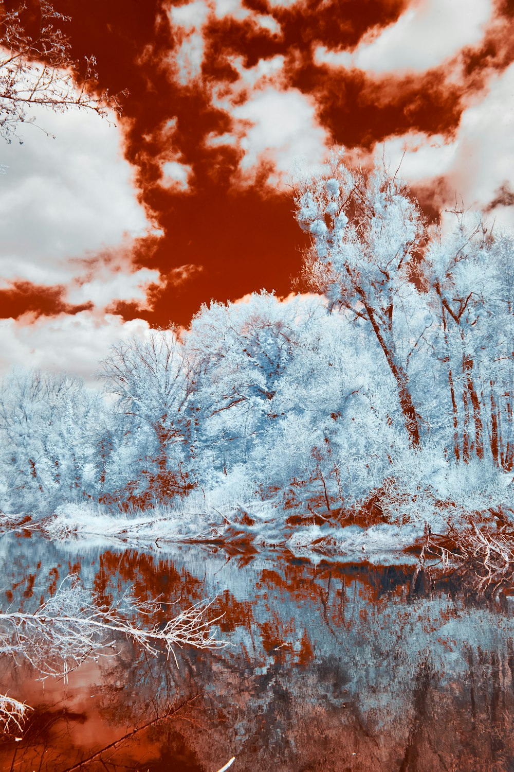 a red and blue photo of trees and water