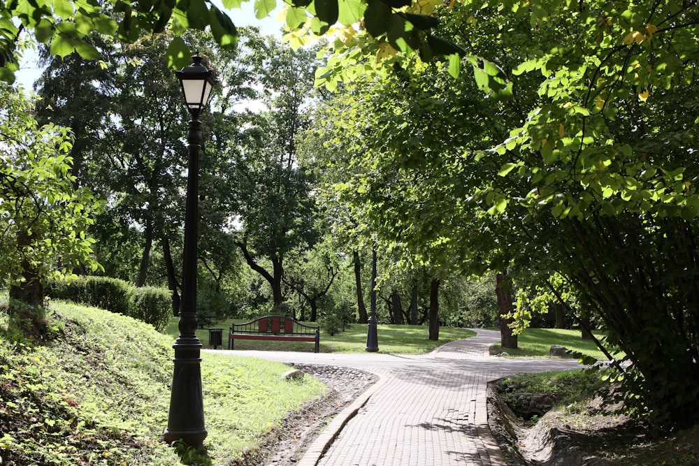 a park with a bench and a lamp post