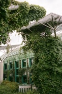 A modern building with large glass windows is extensively covered with lush green ivy and other climbing plants. The building's roof features a unique metal framework design that supports additional greenery. This integration creates an impression of architecture and nature blending seamlessly together.