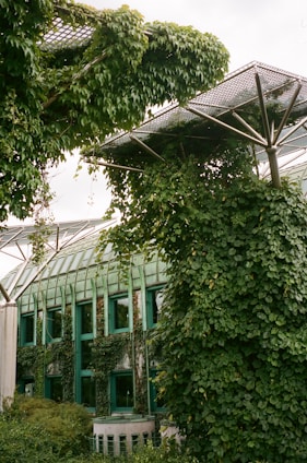 A modern building with large glass windows is extensively covered with lush green ivy and other climbing plants. The building's roof features a unique metal framework design that supports additional greenery. This integration creates an impression of architecture and nature blending seamlessly together.