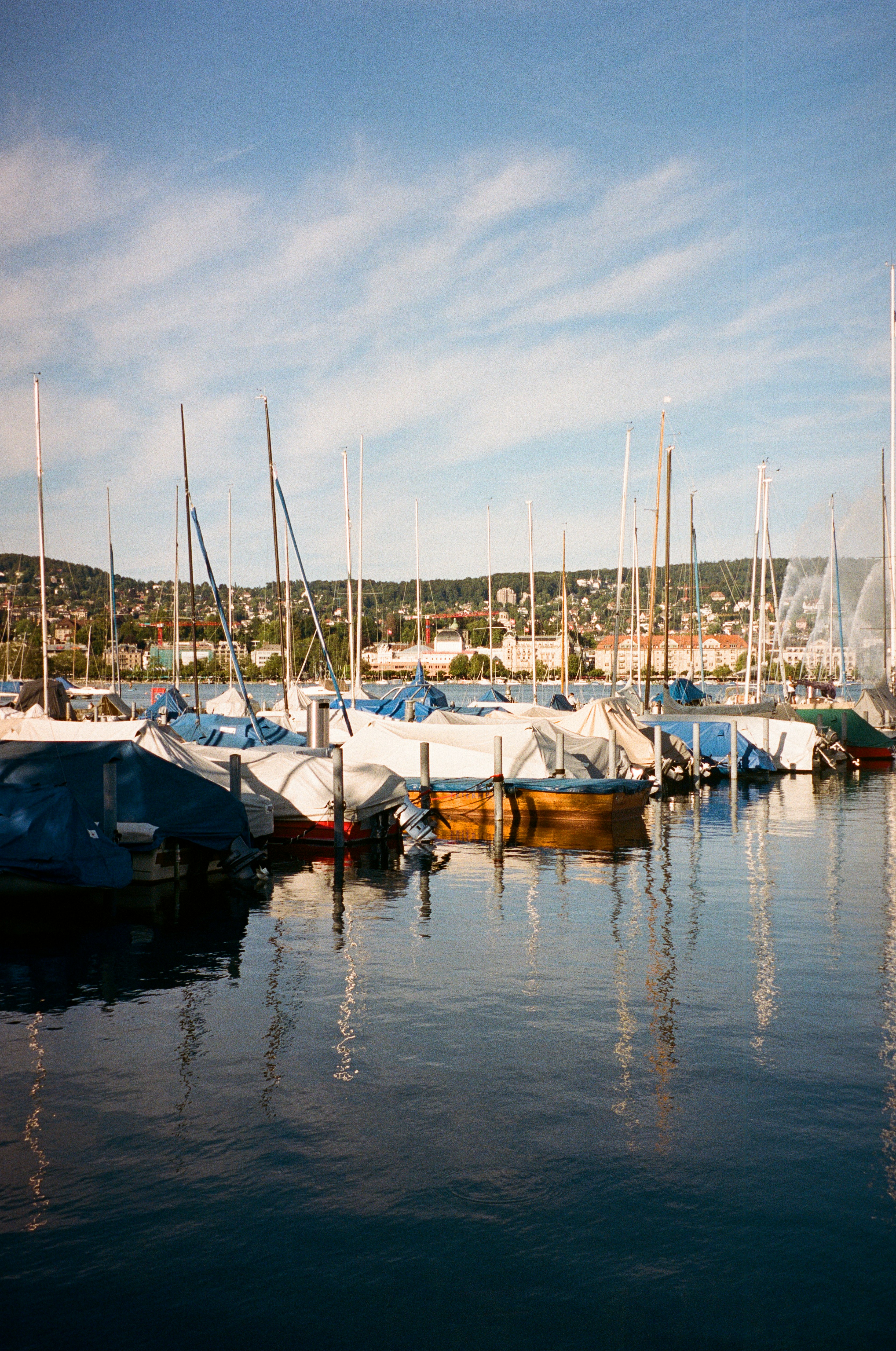 Photo by marynayanul