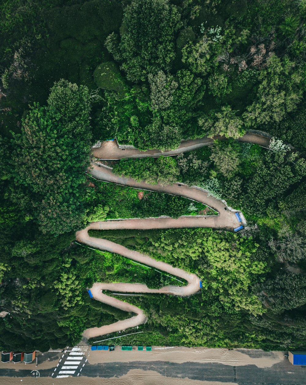 a winding road in the middle of a forest