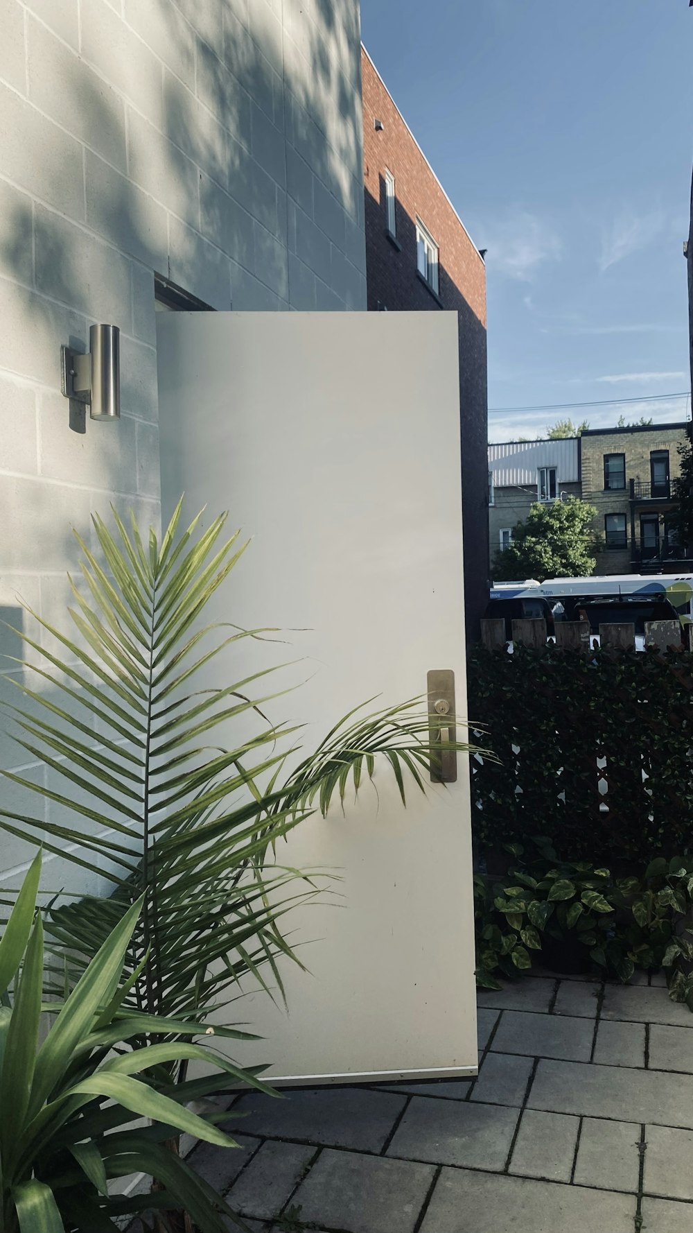 a white refrigerator sitting next to a green plant