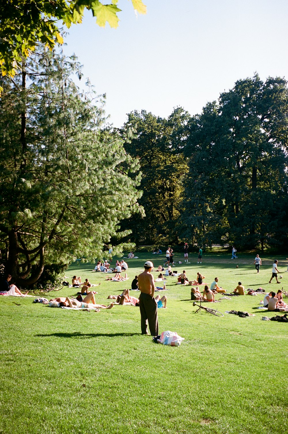 a large group of people sitting on a lush green field