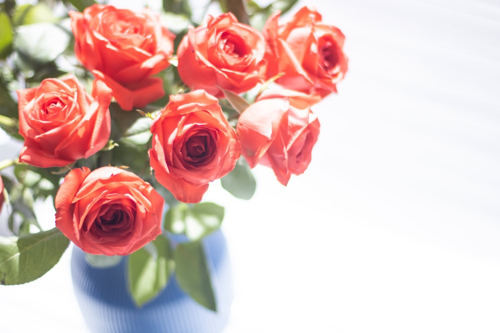 a blue vase filled with red roses on top of a table