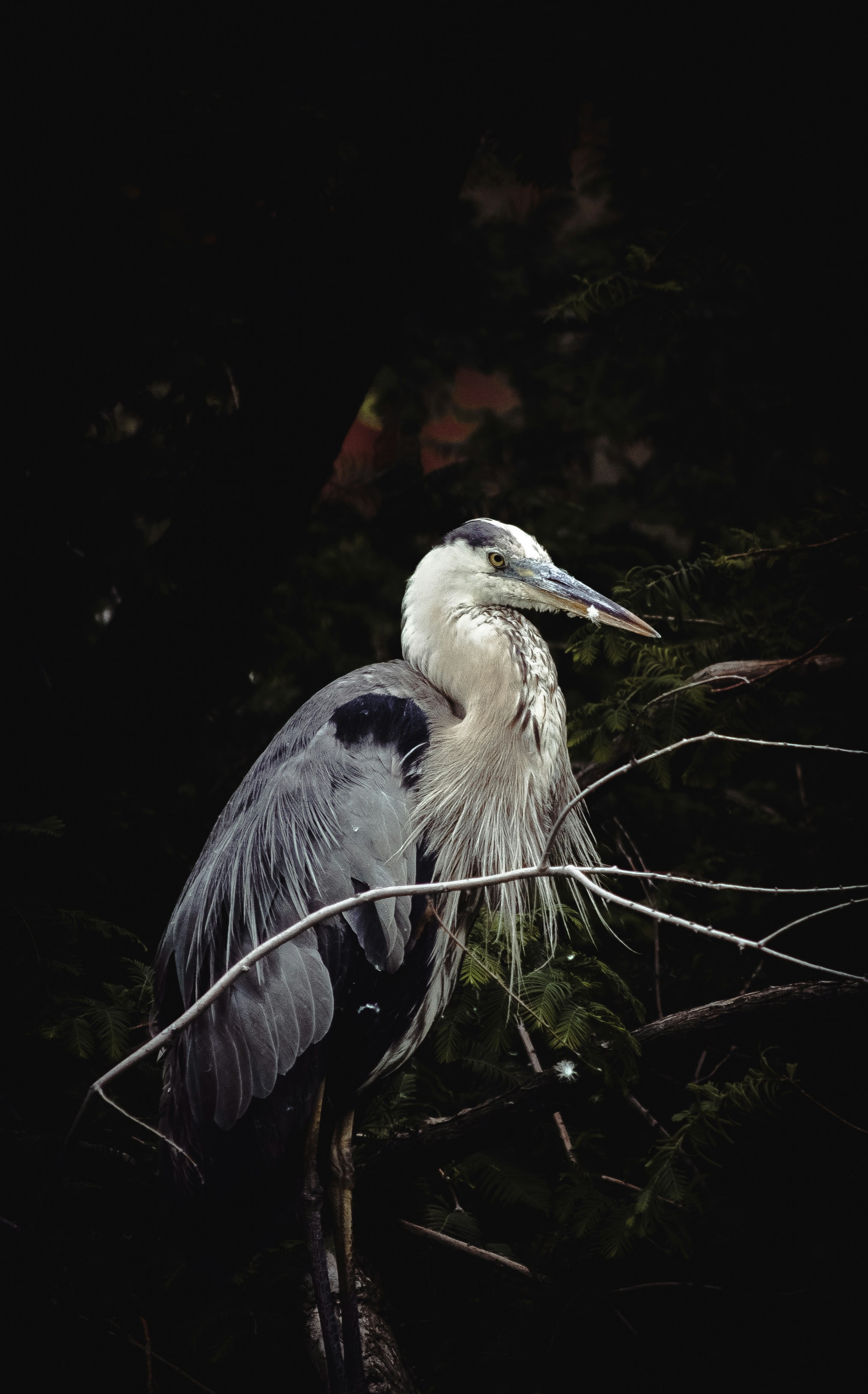 Photo by sinabahar76