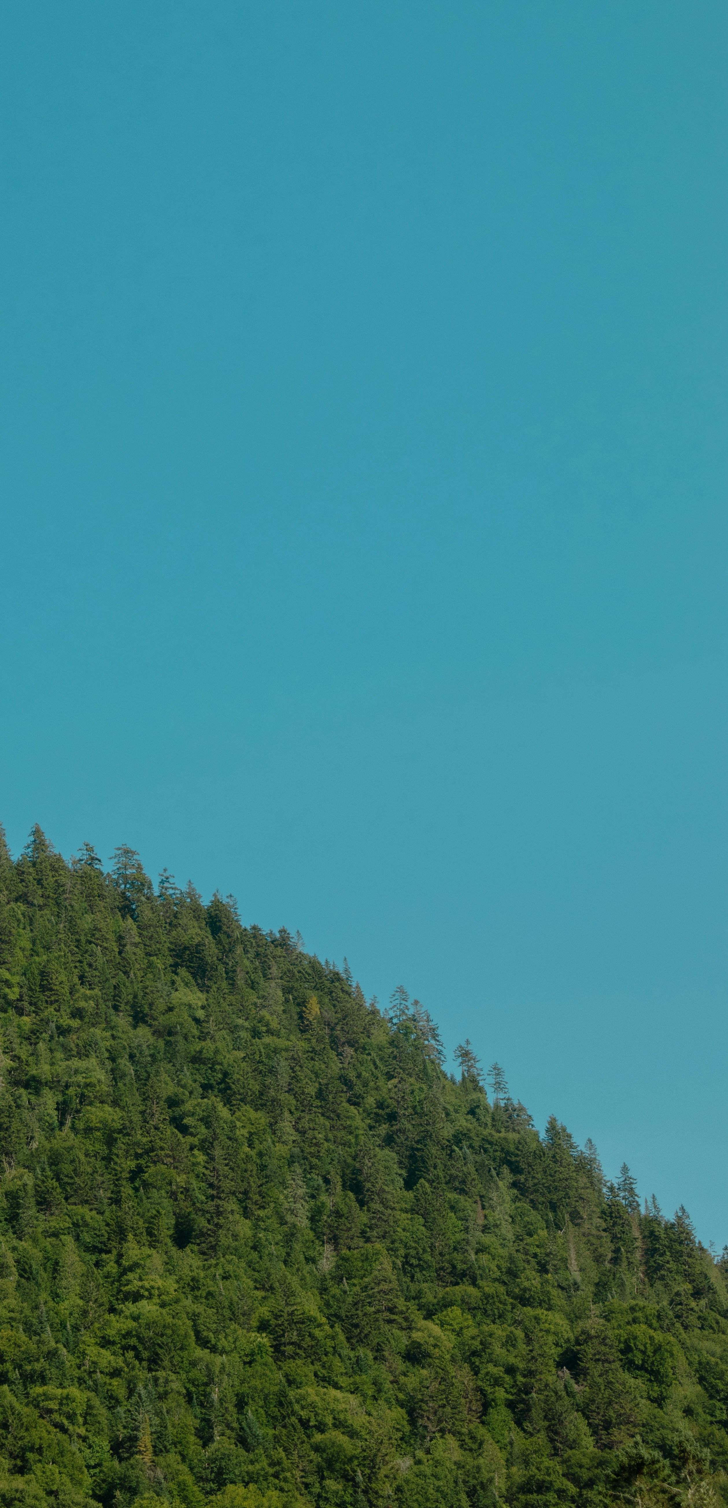 Photo by sinabahar76