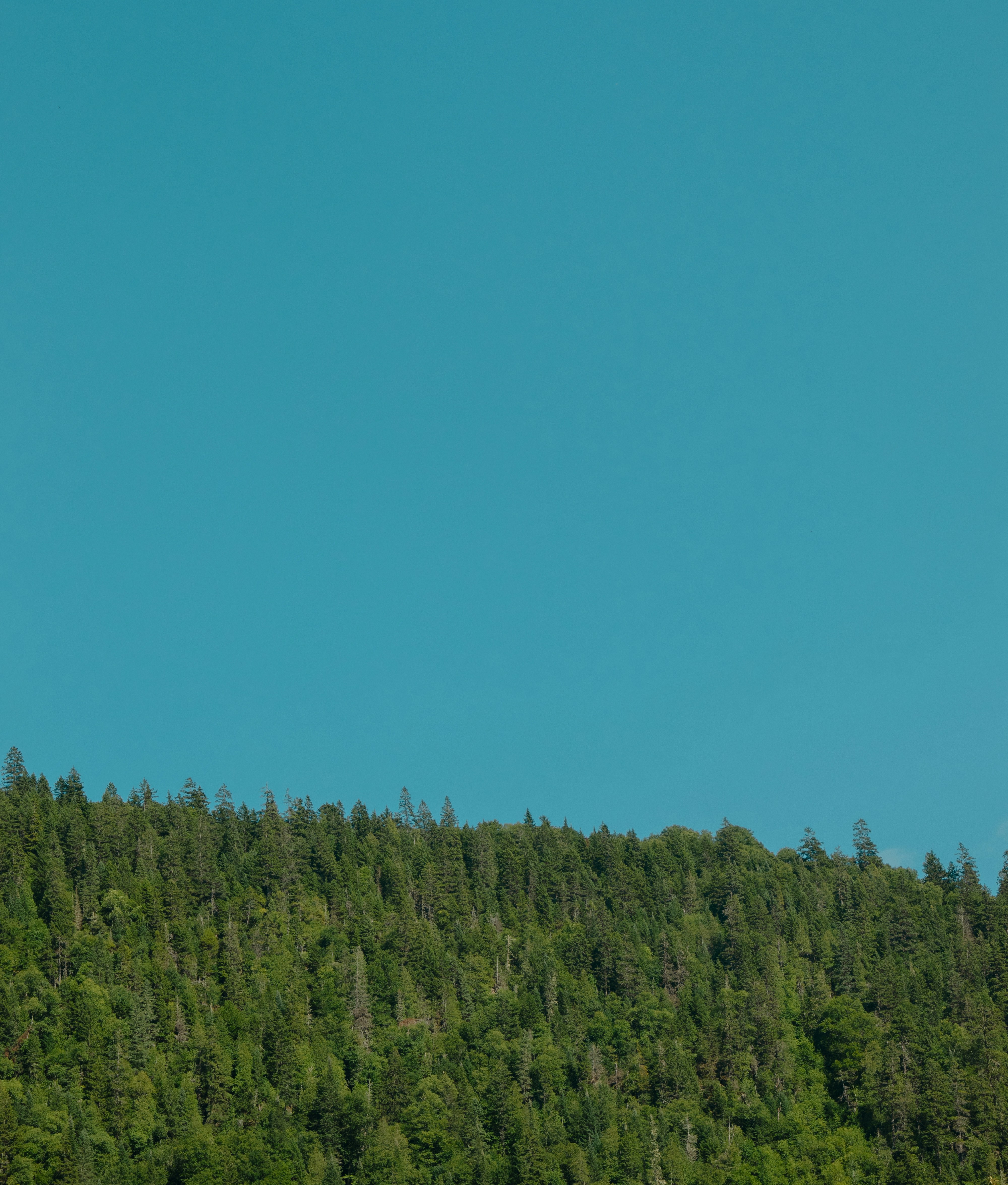 Photo by sinabahar76