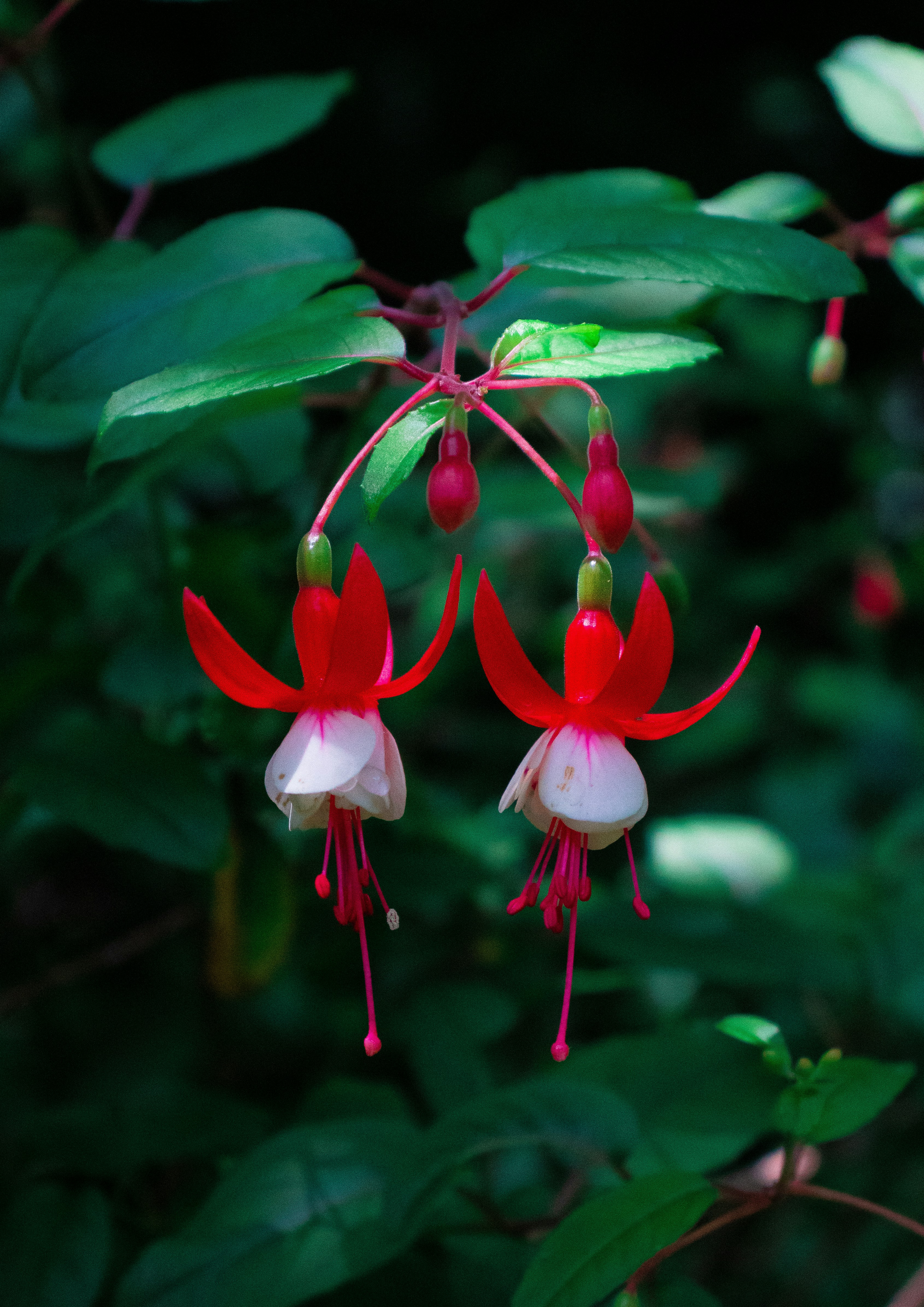 Photo by sinabahar76