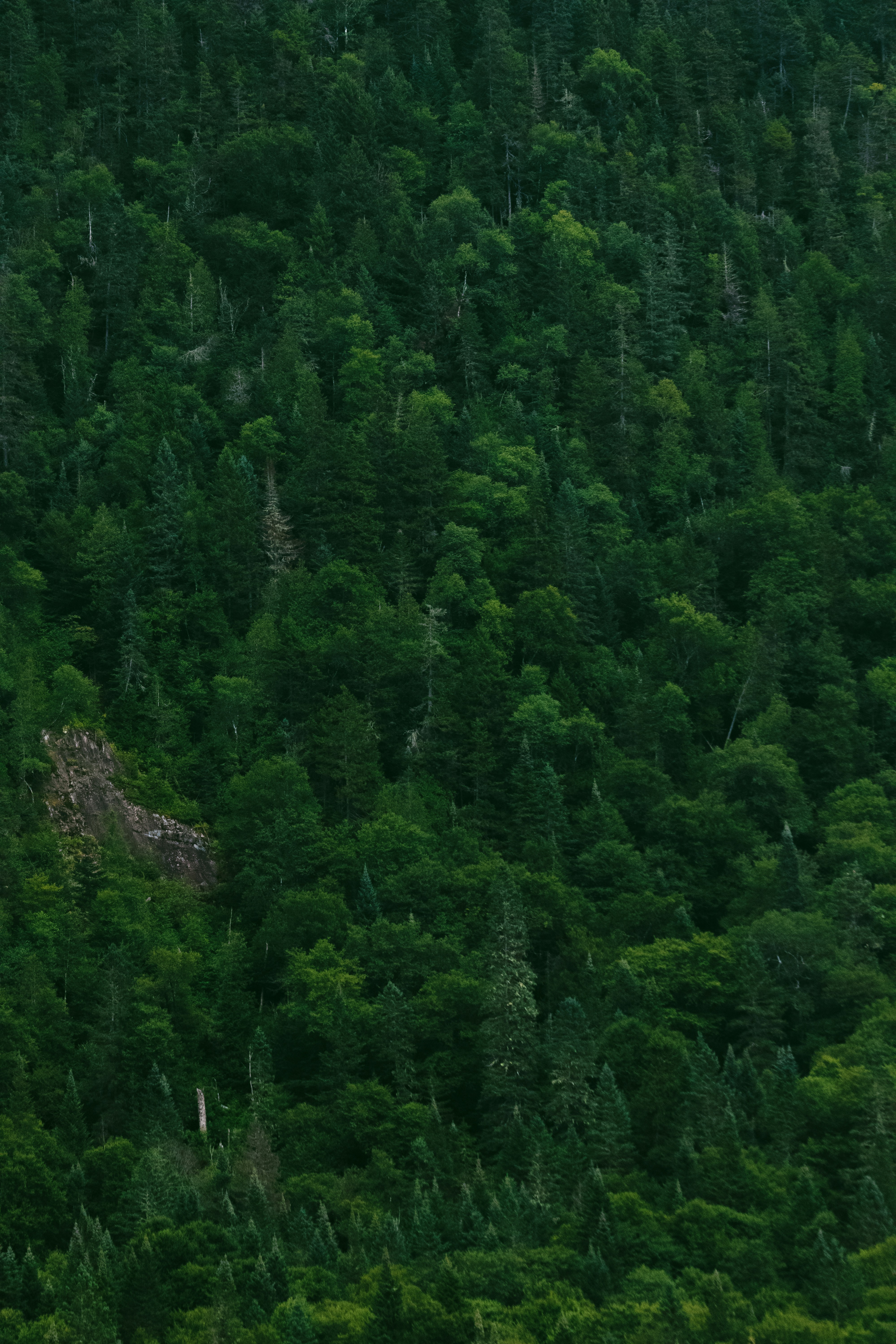 Photo by sinabahar76