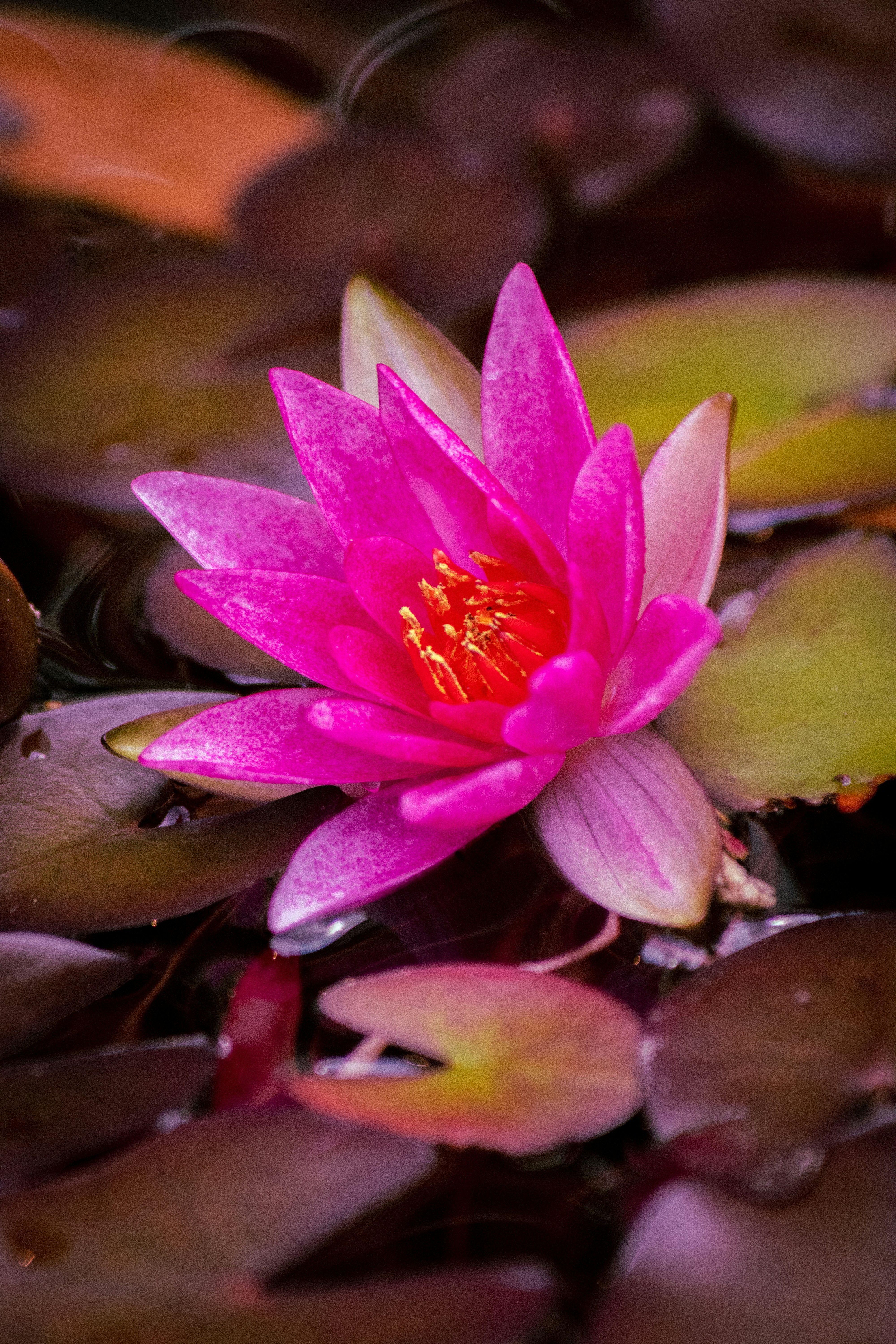 Photo by sinabahar76