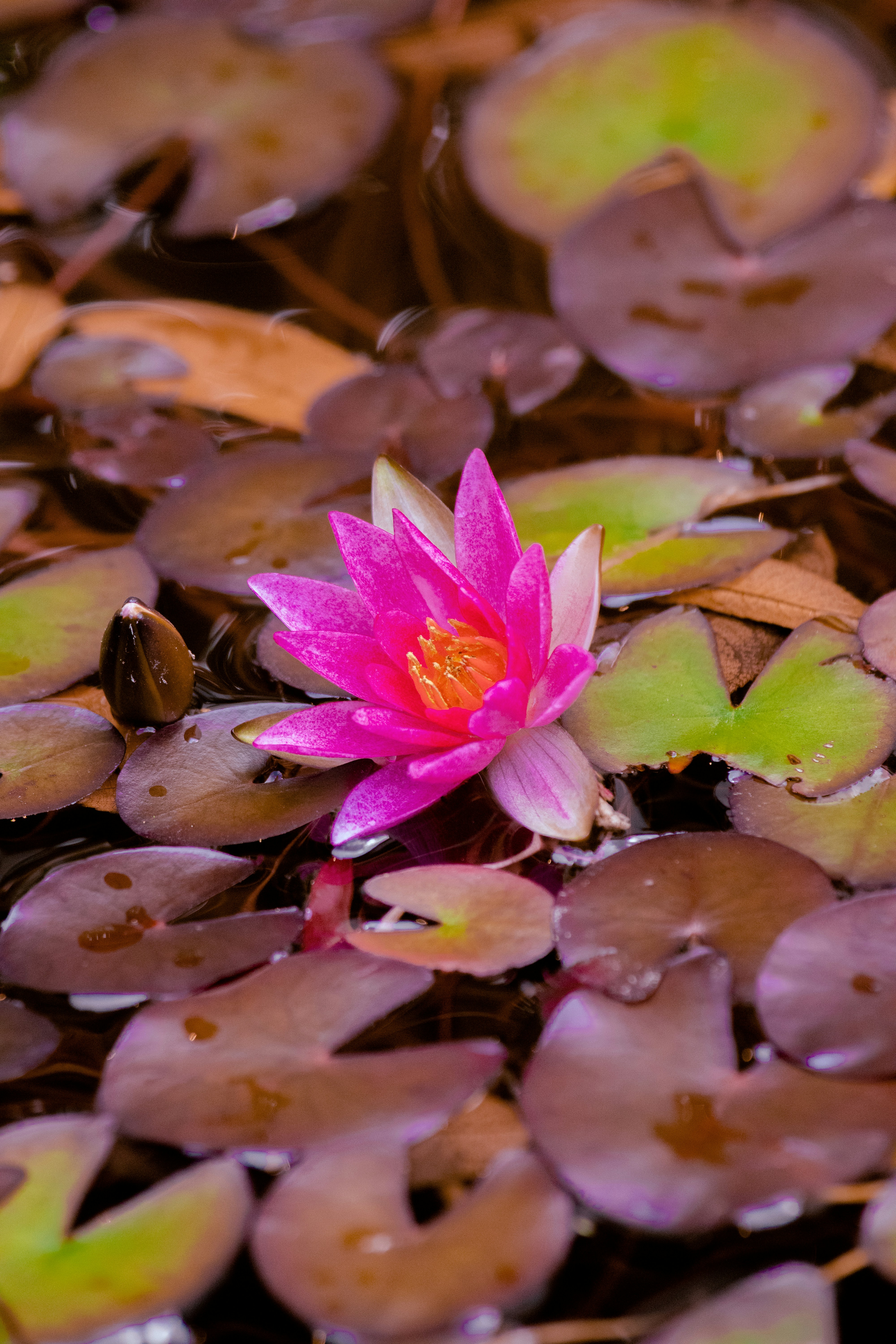 Photo by sinabahar76