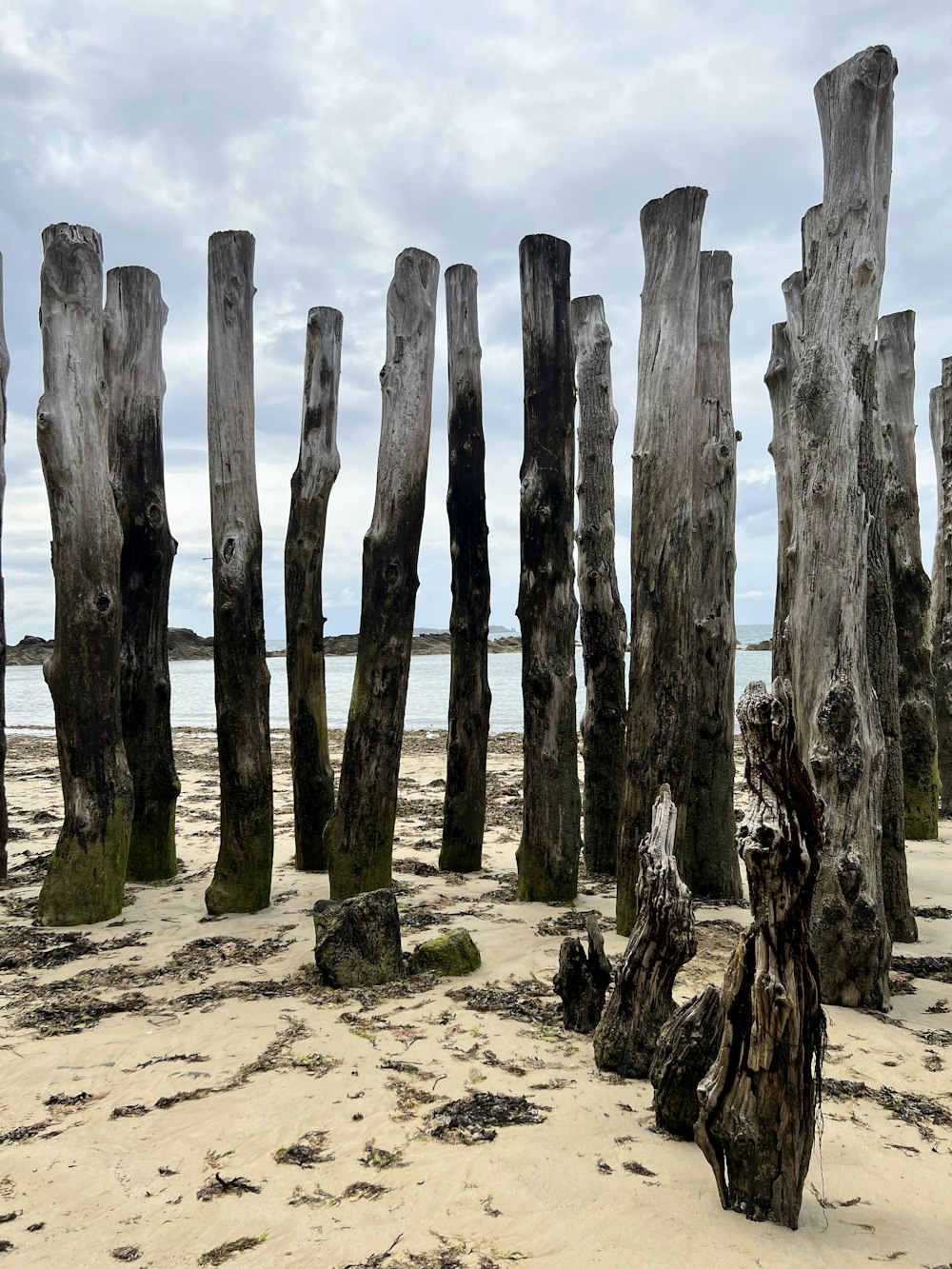 a group of wooden posts sitting on top of a sandy beach