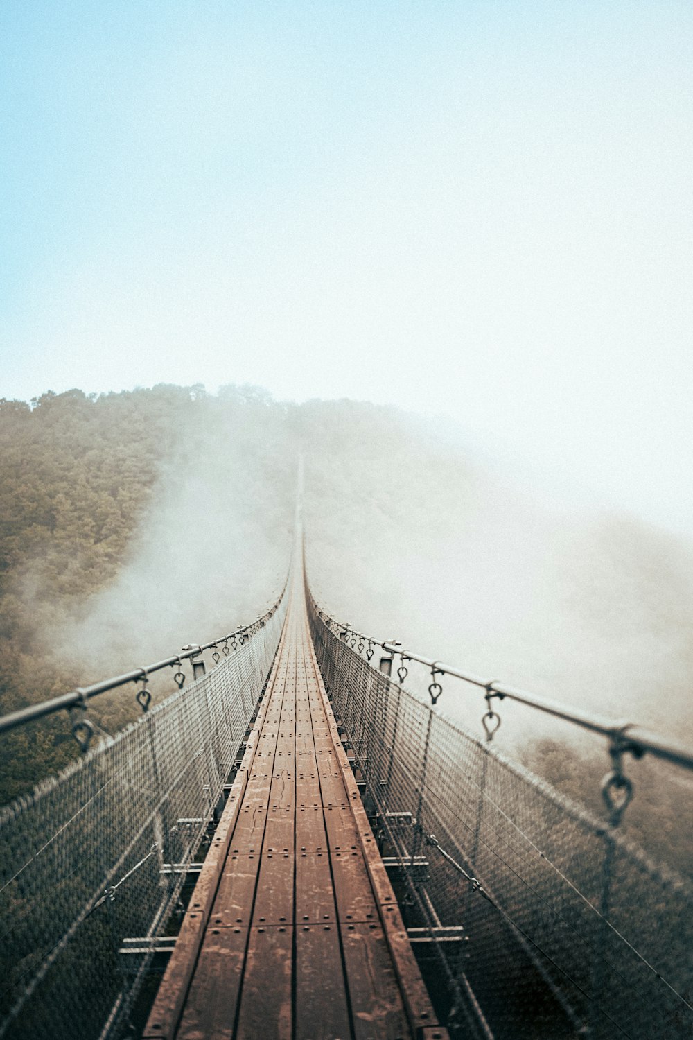 a long suspension bridge in the middle of a forest